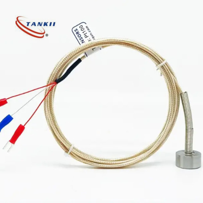 Het Type van magneetthermokoppel K/J/E T/Pt100 met 3m SS In de schede gestoken Kabel